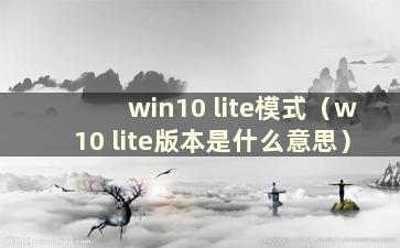 win10 lite模式（w10 lite版本是什么意思）